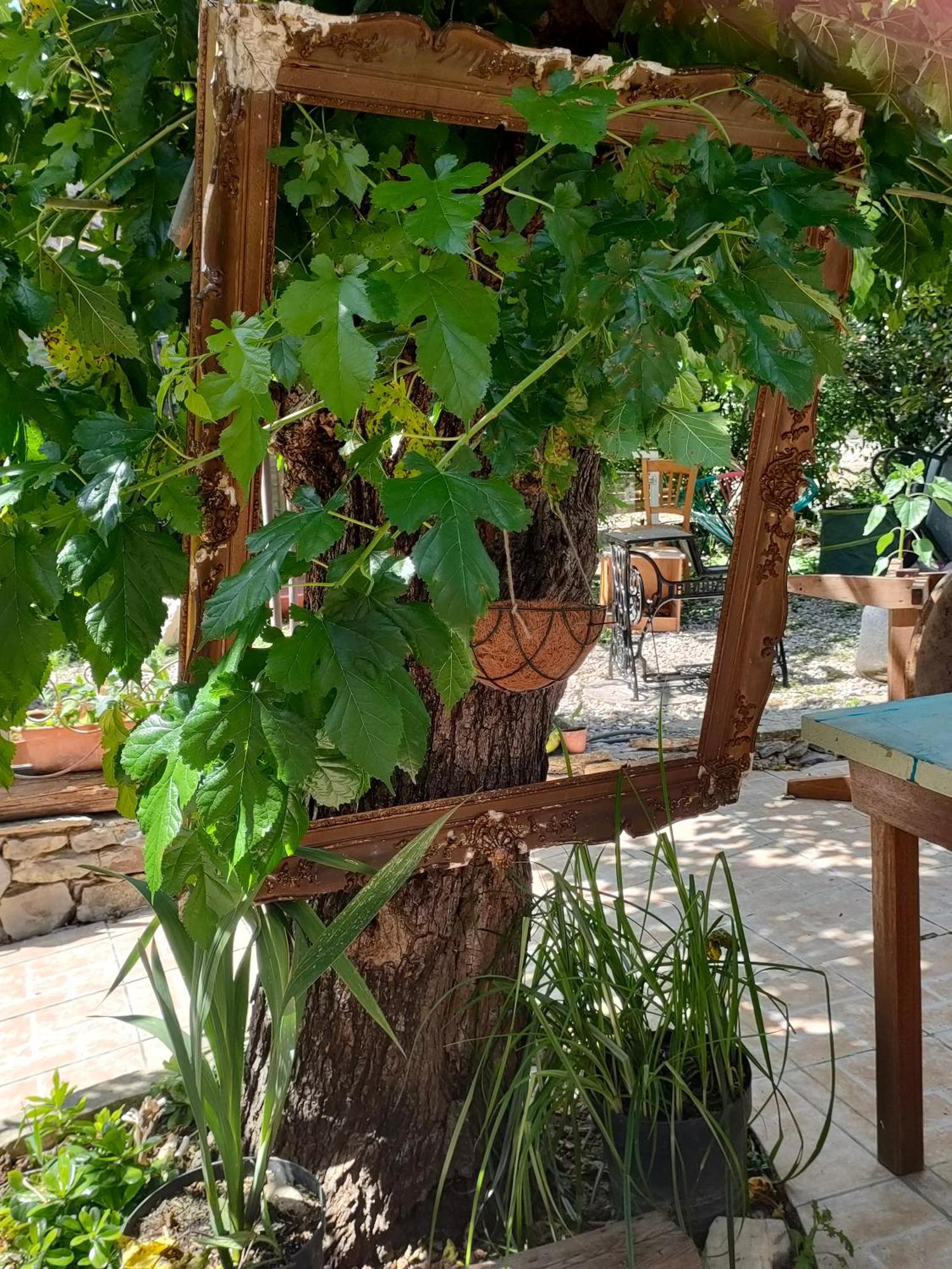 Les P'Tits Velos Acomodação com café da manhã Chandolas Exterior foto